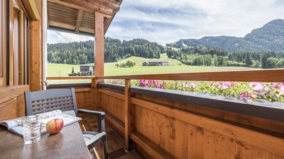 Ausblick vom Balkon der Pension Alpina